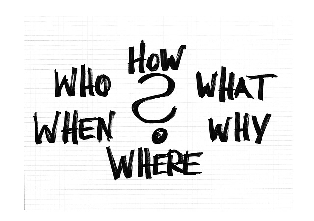 Questions ('Who, what, when, where, why, and how')